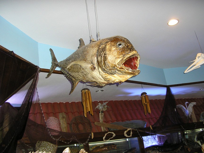 P1010859.jpg