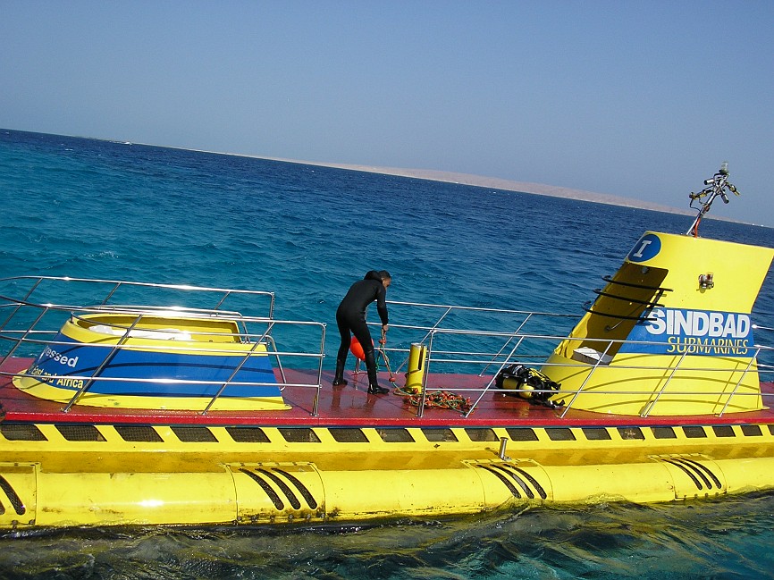 P1010865.jpg