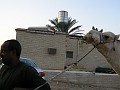 P1010901