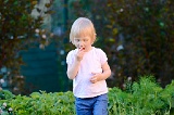 _DSC8242